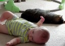 Baby and Cat