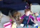 Baby and Dog Playing With Bubbles!