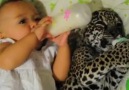 Baby And Leopard Baby