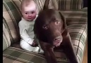 Baby anna Dog Share Precious Moment Together :)