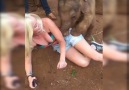 Baby Elephants Wants To Play