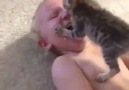 Baby playing with kitten <3