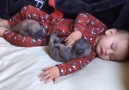 Baby Relaxes With Pups