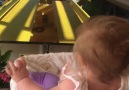 Baby rides a roller coaster