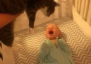 Baby's delight as pet cat is placed in her crib
