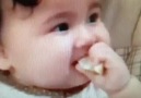 Baby Tastes Lemon For The First Time D
