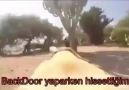 Backdoor yaparken hissettiğim / aslında olan