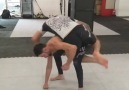 Back Take to Ninja Calf Slicer Roll by &