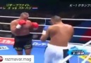 Badr Hari'nin efsane Tekmesi.