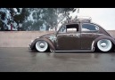 BAGGED BUG!Video credit MosdefMedia