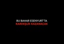 Baharda Kardeşlik Kazanacak