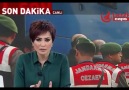 Bahçeli Saraya neden gitti ?