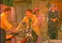Bak Duvara İtii Hayvan Hayvan.