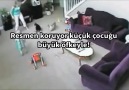 Bakıcının bağırdığı küçük bebeği koruyan kedi. Çocuklara bağır...