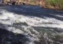balık bendi