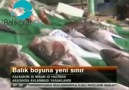 Balık Boyuna Yeni Sınır (19.08.2012)