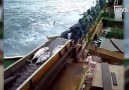 Balıkçıların Sınırları zorlayan teknikleri