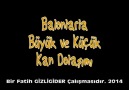 Balonlarla büyük ve küçük kan dolaşımı :D