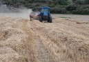Balya isi son hız devam