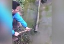 Bamboo fishing