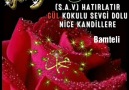 Bamteli - DOĞUM GÜNÜN KUTLU OLSUN EFENDİMGül sevginin...