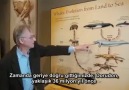 bana ara fosilleri göster- evrim richard dawkins