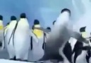 Bana Bana Kar Yolla - Süpeeeer Yaaaaa
