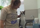 Banks the cat gives woman a back massage