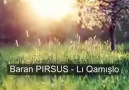 Baran PIRSUS- Lı Qamışlo