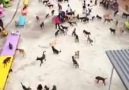 BARINAK DEDİĞİN BÖYLE OLUR..!
