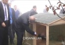 BARIŞ GÜVERCİNLERİMİZE KARIŞMA !