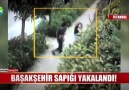 Başakşehir sapığı yakalandı!