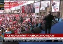 Başbakan Avrupa Hayır çıkması için kendini parçalıyor