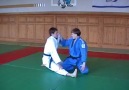 Base elements a judo