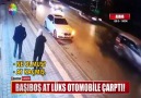 BAŞIBOŞ AT LÜKS OTOMOBİLE ÇARPTI!