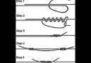 Basic fishing knots video