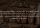 Başkalaştırılan Türk boyları ve kürt yalanları