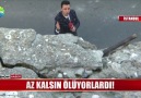 BAŞLARINA TABELA DÜŞTÜ!