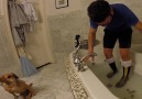 Bathing his paralysed dog did not go as expected Newsflare