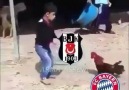 Bayern München 5 - 0 Beşiktaş geniş maç özeti.