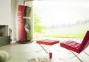 Bay Papağan Stüdyoları - Extreme Audio Facebook