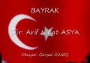 BAYRAK