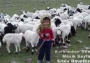 Bayram Olmuş Seyran Olmuş Banane HD