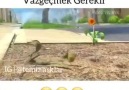 Bazen Vazgeçmek Gerekir