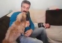 Bazı 2 Ayaklı Hayvanlar Bu Köpekten Ders Almalı...