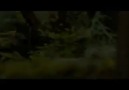 BD Part-2 Önizlemesi