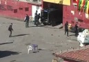 BDP Cizre İlçe Merkezine Polis Saldırısı Görüntüleri