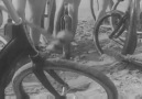 Beach Bike Polo in Santa Monica, 1934