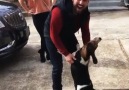 Beagle goes crazy when reunited with his owner after 18 monthsCredit Newsflare