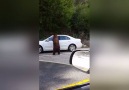 Bear opens motorists car door in California